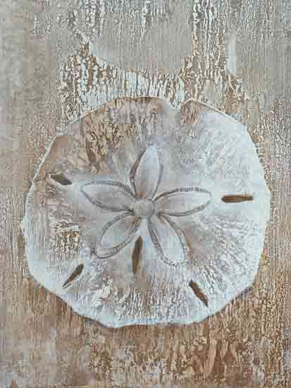 Cloverfield & Co. CC233 - CC233 - Sand Dollar - 12x16 Coastal, Sand Dollar, Shell, Rustic from Penny Lane