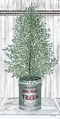 CIN1773 - Galvanized Pot Cedar - 9x18