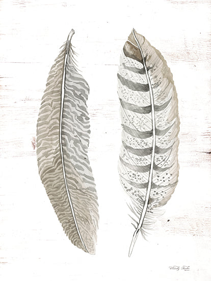 Cindy Jacobs CIN1991 - CIN1991 - Feather II    - 12x16 Feathers, Neutral Palette, Tan, Cream, Southwestern, Nature from Penny Lane