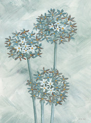 CIN3204 - Allium IIII - 12x16
