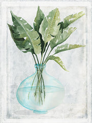 CIN3230 - Perfect Palms III - 12x16