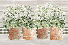 CIN3247 - Welcoming Geraniums II - 18x12