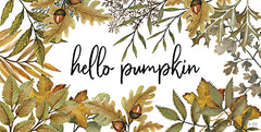 CIN3402 - Hello Pumpkin - 18x9