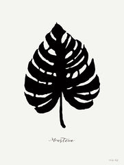 CIN3519 - Ebony Palm II - 12x16