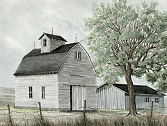 CIN3992 - Back Country Barn - 16x12