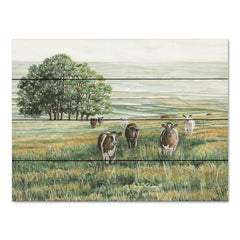 CIN4037PAL - Peaceful Pasture - 16x12