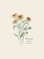 CIN4072 - Black Eyed Susan - 12x16