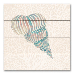 CIN4098PAL - Miami Vibe Seashell 1 - 12x12