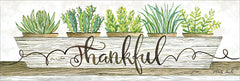 CIN409 - Thankful Succulent Pots - 18x6