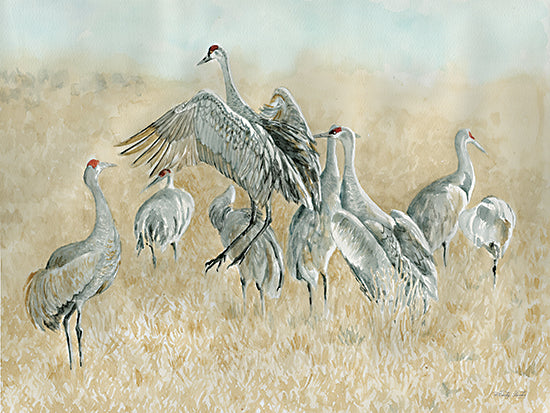 Cindy Jacobs CIN4147 - CIN4147 - Dance of the Cranes - 16x12 Coastal, Cranes, Dance of the Cranes, Field, Landscape from Penny Lane