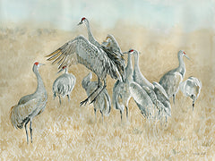 CIN4147 - Dance of the Cranes - 16x12