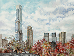 CIN4179 - Central Park in Fall - 16x12