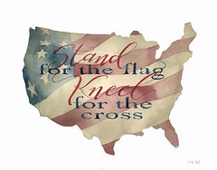 CIN872 - USA Stand for the Flag