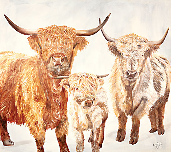 Diane Fifer DF143 - DF143 - Hairy Highland Cattle - 16x12 Highland Cattle, Cows,  from Penny Lane
