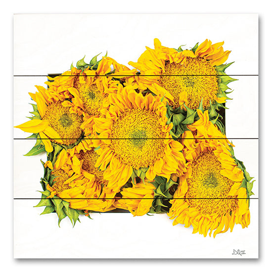 Donnie Quillen DQ259PAL - DQ259PAL - Fall Feels II - 12x12 Photography, Flowers, Sunflowers, Yellow Sunflowers, Fall, Autumn from Penny Lane