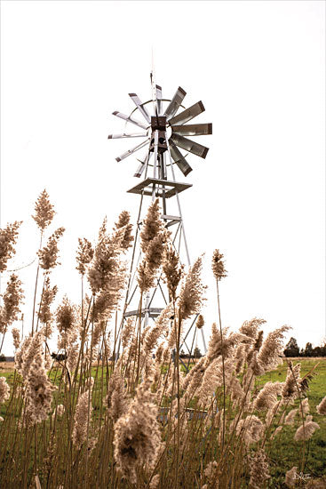 Donnie Quillen DQ299 - DQ299 - Changing Winds - 12x18 Photography, Windmill, Landscape, Changing Winds from Penny Lane
