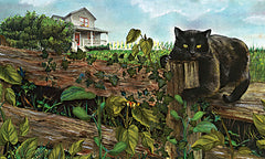 ED474 - Black Cat on Fence - 18x12