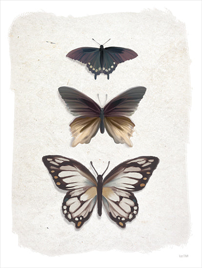 House Fenway FEN1050 - FEN1050 - Weathered Butterflies - 12x16 Butterflies, Weathered Butterflies, Naturalist Display, Muted Colors from Penny Lane