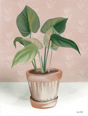 FEN628 - House Prayer Plant - 12x16