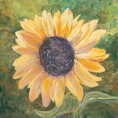 JAN235 - Sunflower