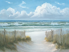 JAN246 - Coastal Fence - 16x12