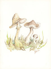 JM546 - Fall Mushrooms - 12x16