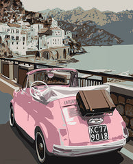 KAM205 - Pink Bug in Europe - 12x16