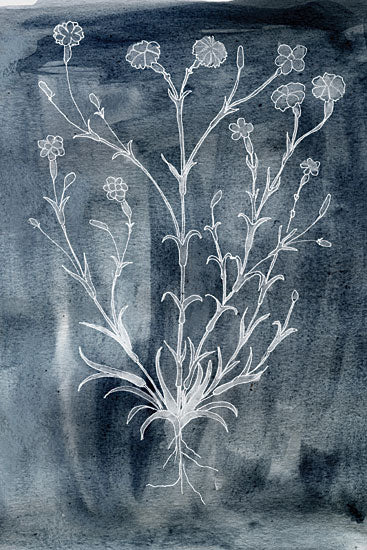 Kamdon Kreations KAM812 - KAM812 - Silverpointe     - 12x18 Abstract, Flowers, Wildflowers, Roots, Stems, Black & White from Penny Lane