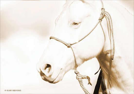 Kari Brooks KARI116 - KARI116 - Sepia Medicine Man    - 18x12 Photography, Horse, Sepia, Portrait from Penny Lane