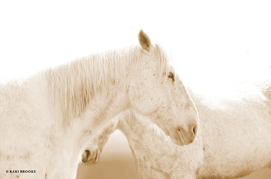 Kari Brooks KARI136 - KARI136 - White Out       - 18x9 Photography, White Horses, Portrait from Penny Lane