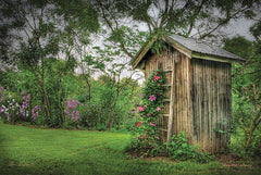 LD102 - Fragrant Outhouse - 18x12