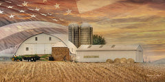 LD1041 - American Farmland - 24x12