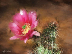 LD1080 - Vibrant Cactus Flower - 16x12