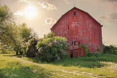 LD1087 - Spide Barton Barn - 18x12