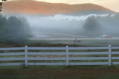 LD1136 - Hudson Valley Mist - 18x12