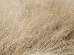 LD1166 - Shades of Gold - 16x12