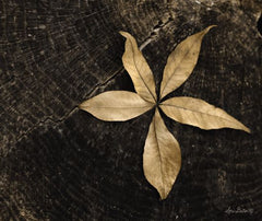 LD1168 - Natural Buckeye Leaf - 16x12