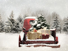 LD1503 - Snowy Presents  - 18x12