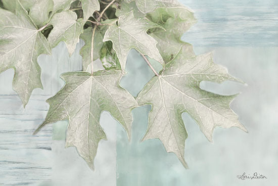 Lori Deiter LD1568 - The Maple Leaves - 18x12 Maple Leaves, Filter, Photography, Blue from Penny Lane