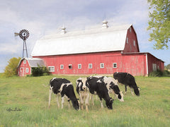 LD1753 - Henderson Cows    - 16x12