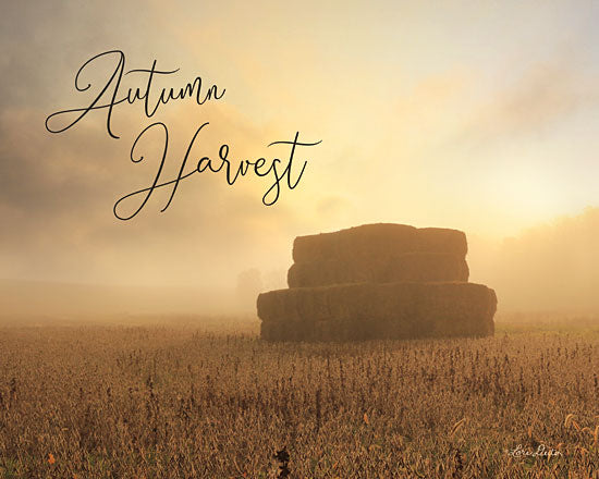 Lori Deiter LD1816 - LD1816 - Autumn Hay Harvest     - 16x12 Signs, Typography, Landscape, Fall, Hay Bales from Penny Lane