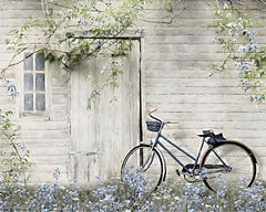 LD1996 - Blue Bike at Barn      - 16x12