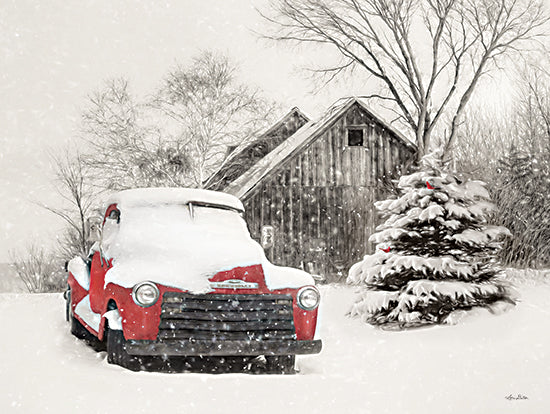 Lori Deiter LD2081 - LD2081 - Red Chevy in Snow - 16x12 Red Truck, Truck, Winter, Snow, Cardinals, Antique, Chevy Truck from Penny Lane