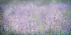 LD2174 - Live Your Dreams - 18x9