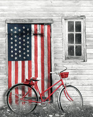 LD2188 - Patriotic Bicycle - 12x16