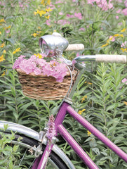 LD2191 - Pink Garden Bike - 12x16