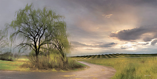 Lori Deiter LD2267 - LD2267 - Willow Lane - 18x9 Trees, Willow Tree, Path, Road, Landscape, Nature, Photography from Penny Lane