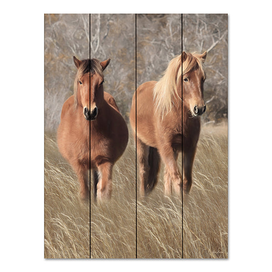 Lori Deiter LD2287PAL - LD2287PAL - Assateague Horses IV - 12x16 Horses, Assateague Horses, Fields, Photography from Penny Lane