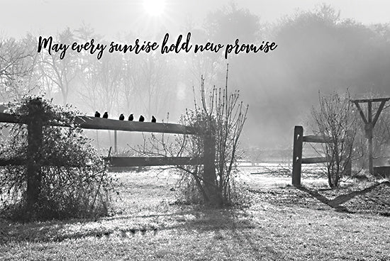 Lori Deiter LD2376 - LD2376 - New Promise - 18x12 Photography, Landscape, Fence, Birds, Brush, Trees, Black & White, May Every Sunrise Hold New Promise, Typography, Signs, Textual Art, Fog from Penny Lane