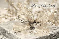 LD2420 - Christmas Gift - 18x12